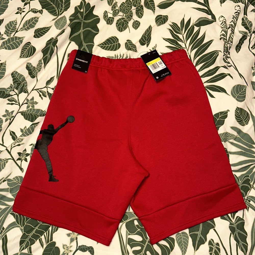 Brand New Men’s Nike Air Jordan Shorts Size Small - Picture 5 of 5